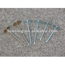 Common iron nails(10 years' factory)